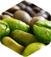 Green Coffee Extract